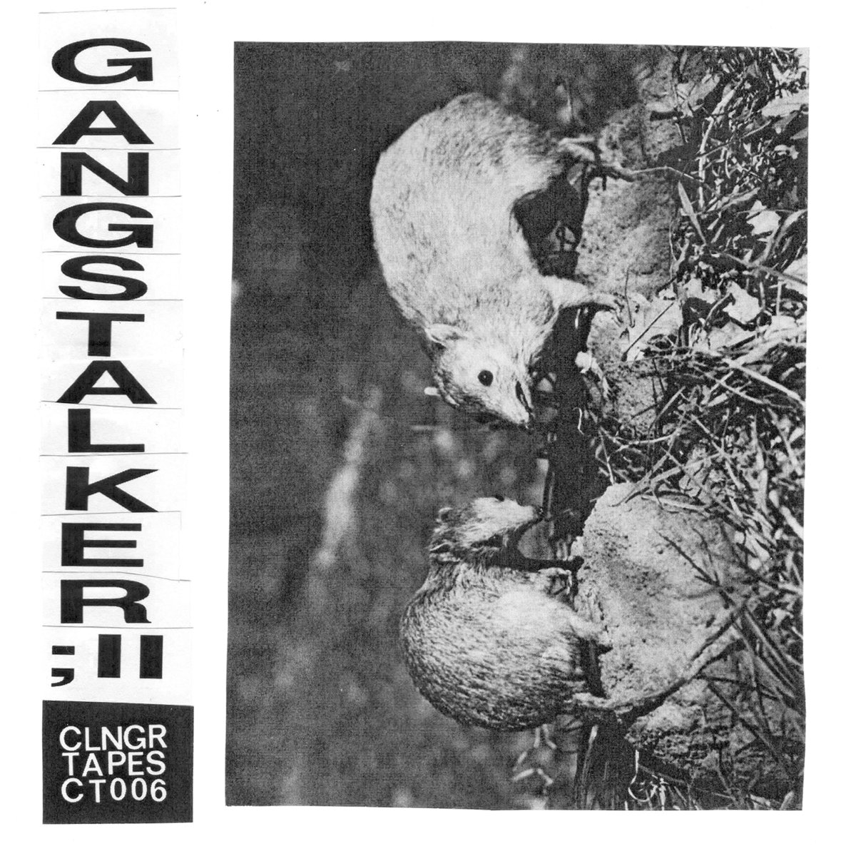II cover